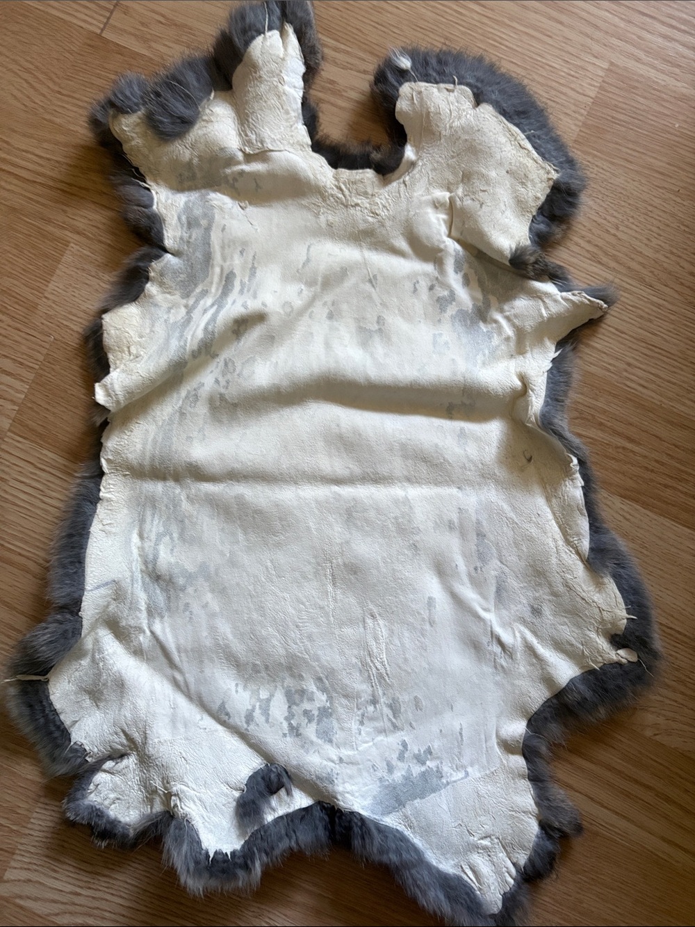 B0088 Natural Gray Rabbit Fur Pelt - Picture 4 of 4